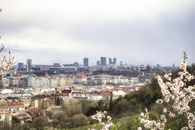 �������� Valley � �����