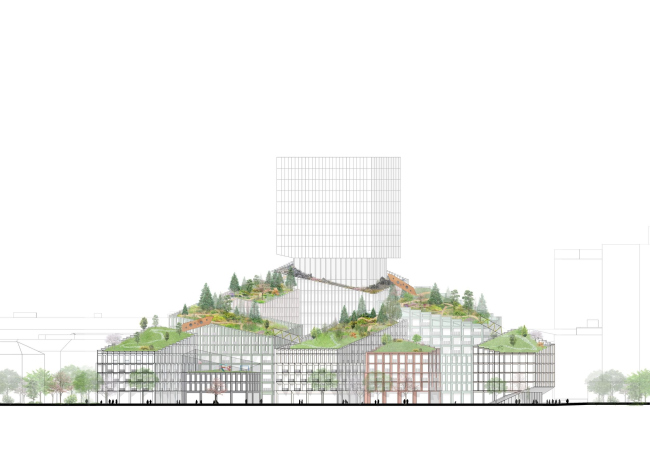 �������� Valley � �����