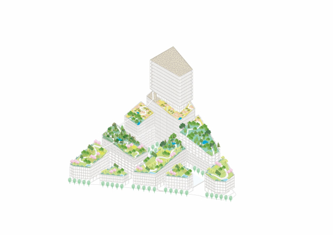 �������� Valley � �����