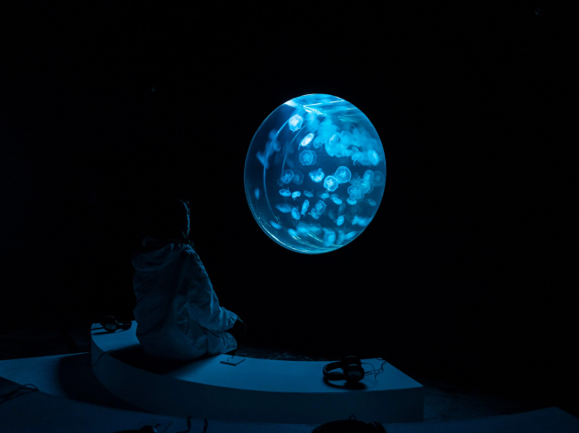 Hydra. ��������� ����� ����� � ��������� ���-�����������. Win-Win 