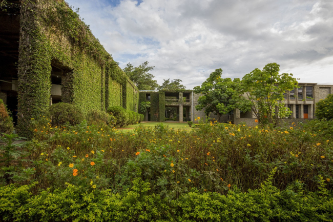 ��������� �������� ����������� � ���������. 1977�1992