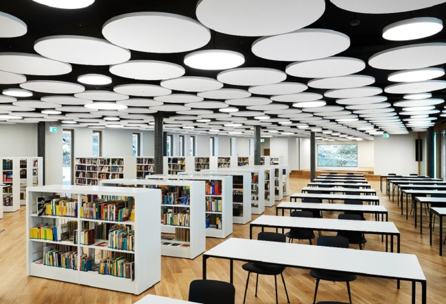 Armstrong Optima L Canopy, ������ � ���������� ������������ ����� � �. ��� (���������)