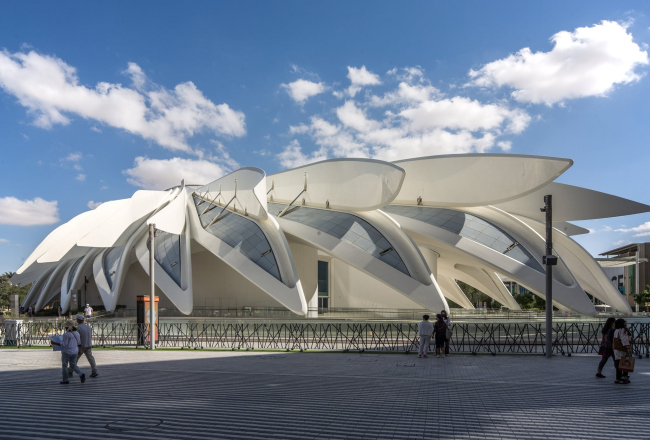Павильон ОАЭ, архитектор Сантьяго Калатрава, ЭКСПО 2020