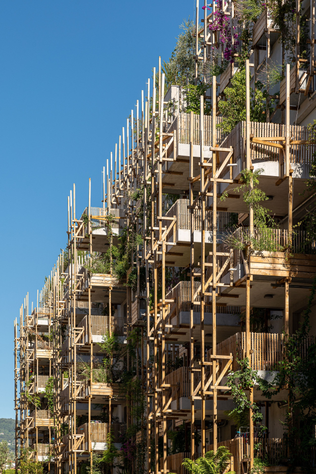 ����� �������� Le Ray