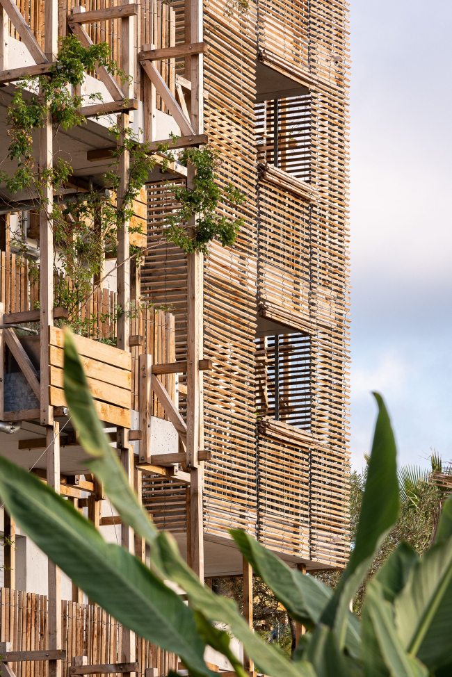 ����� �������� Le Ray