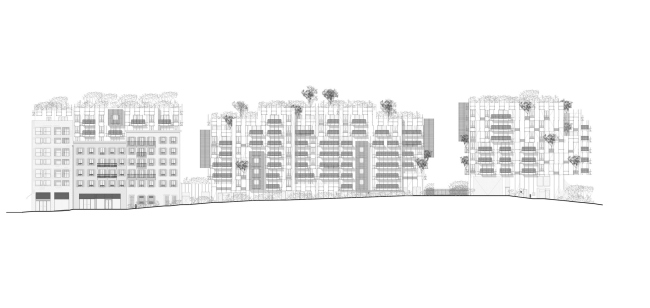 ����� �������� Le Ray