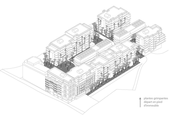 ����� �������� Le Ray