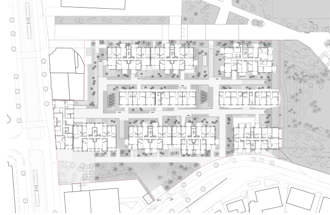 ����� �������� Le Ray