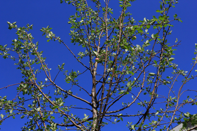 ��������������� ����� �� �����