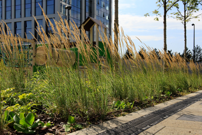 ��������������� ����� �� �����