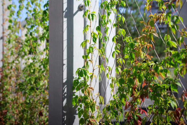 ��������������� ����� �� �����