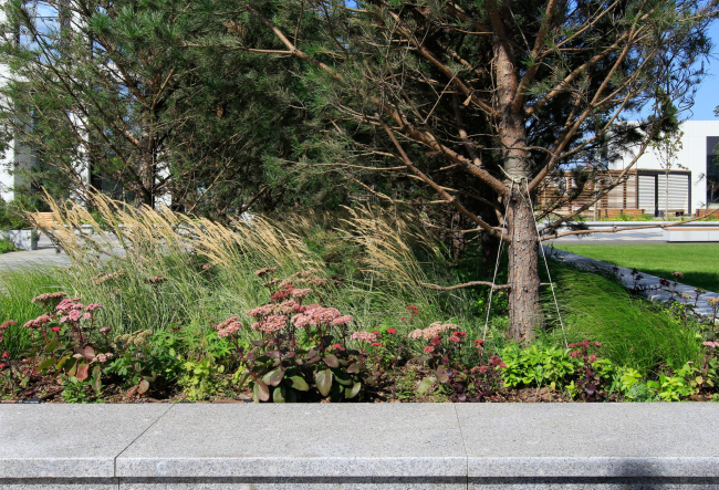 ��������������� ����� �� �����