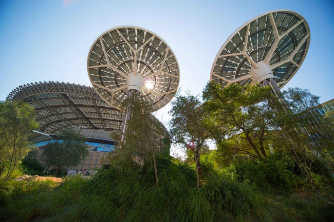 �������� Sustainability, ����� 2020