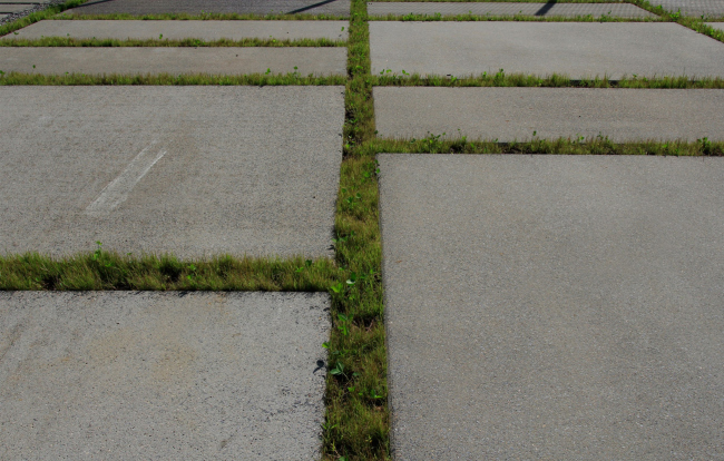 ��������������� ����� �� �����