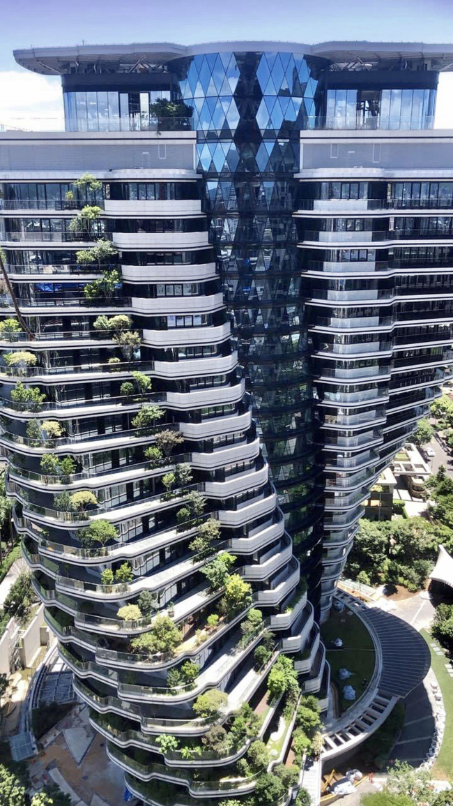 ����� �������� ���� ��� ��� �����