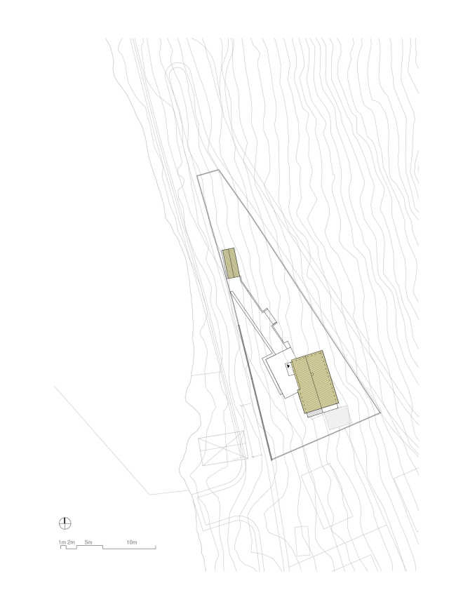 ���� ���������. �������� ��� � �������