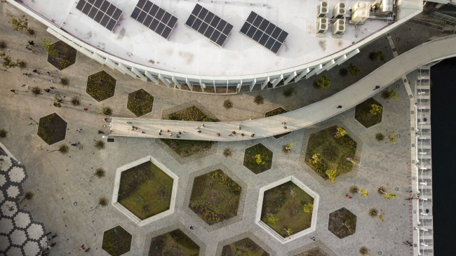 ����� ���-������ � �������