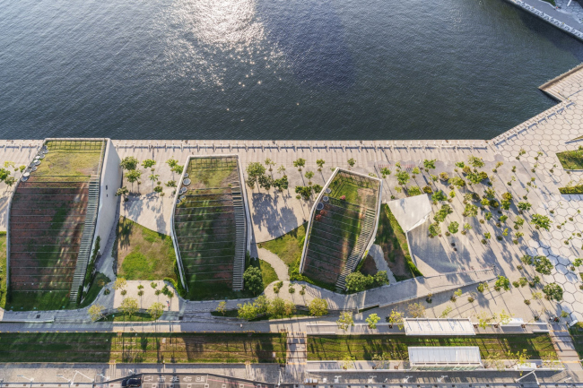 ����� ���-������ � �������