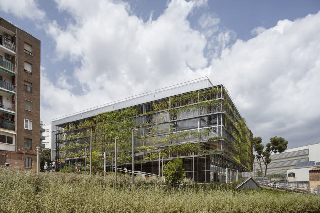 ���������� ����� ���� �� �� ����� � ���������