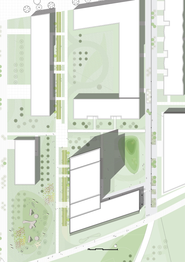 ����� ����� Zuiderzicht