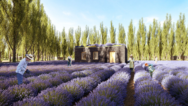 ��������� ���-������ ��������� � �������