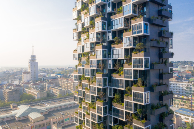 ����� �������� Easyhome Huanggang Vertical Forest