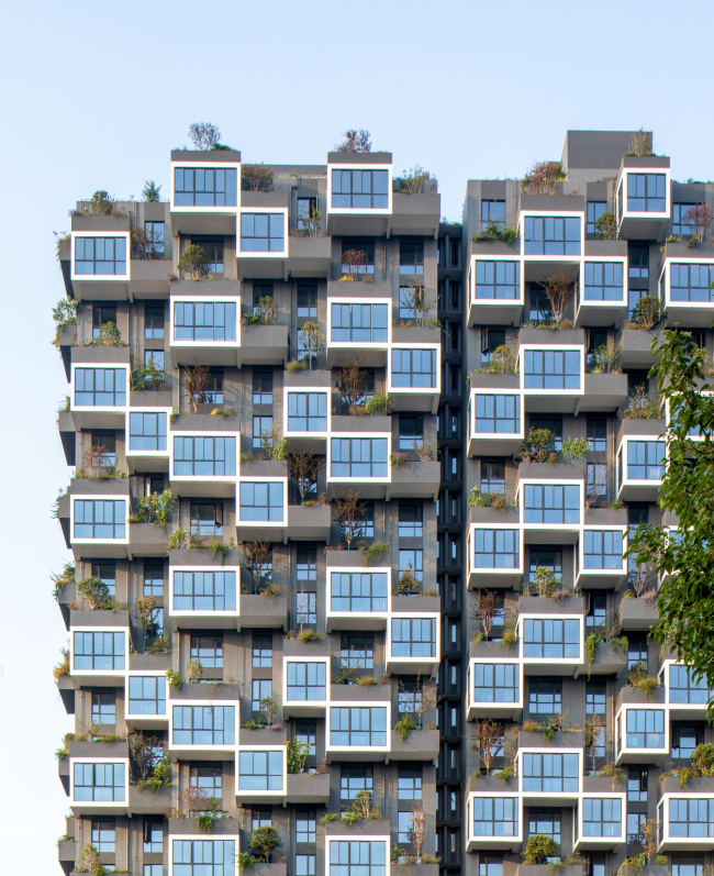 ����� �������� Easyhome Huanggang Vertical Forest