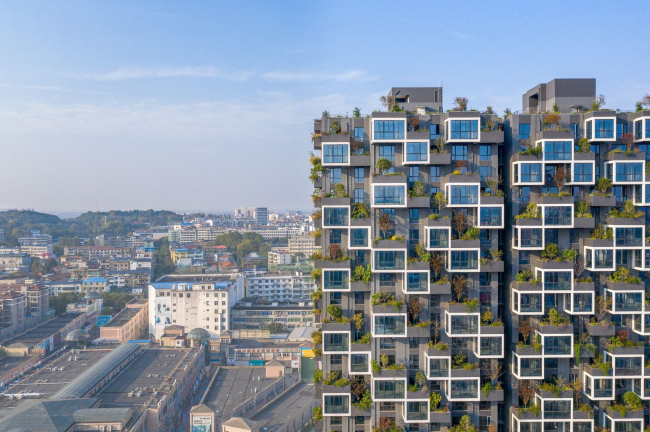 ����� �������� Easyhome Huanggang Vertical Forest