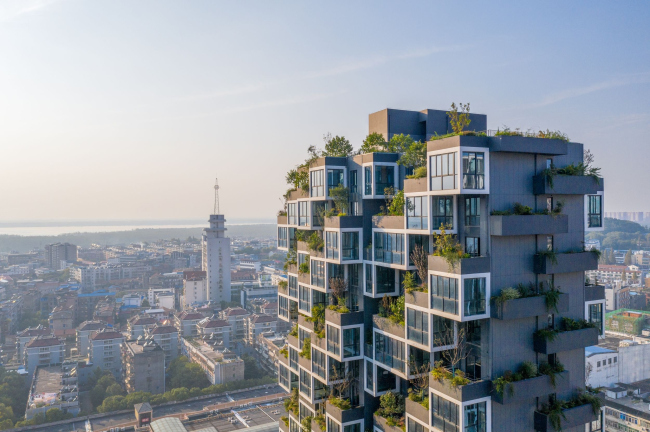 ����� �������� Easyhome Huanggang Vertical Forest