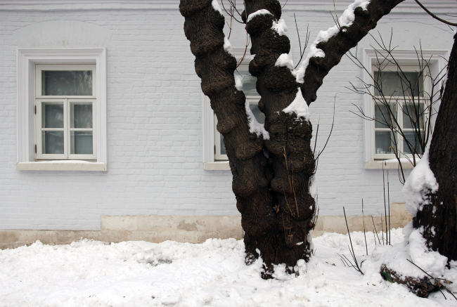 ����� ����� � ������ �����������, ����� ���, ��� � 1-� ������������ ��������. ����������� � �������� ����������: 2015�2021 ��.