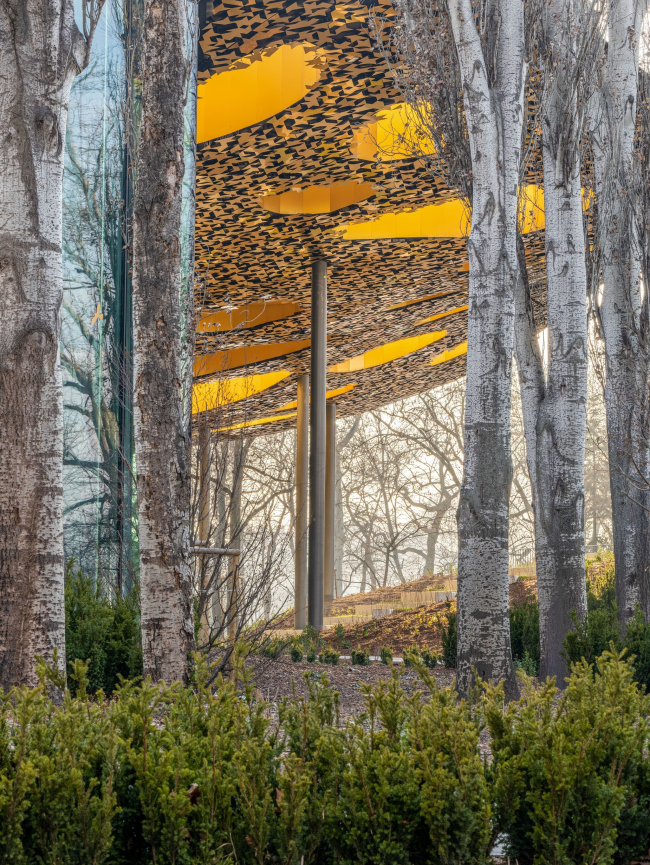 ��� ������ � ���������