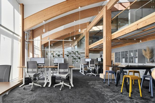 DESIGNIC. ������� ���� 1 ����