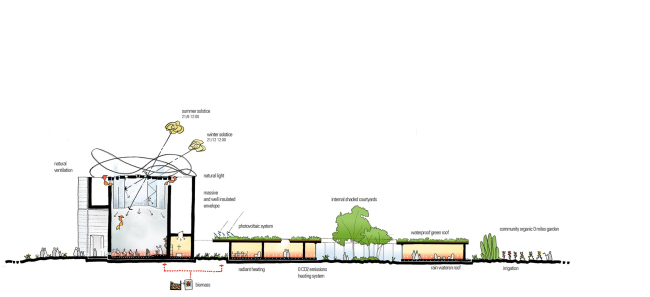 ������� ������ ����� �������