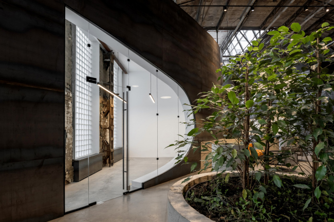 ����� ������������ ������������