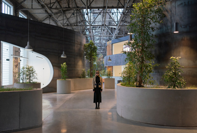 ����� ������������ ������������