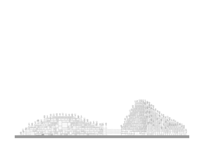 �������� 1000 Trees