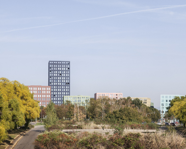 ����� ������� Nolistra � ����������