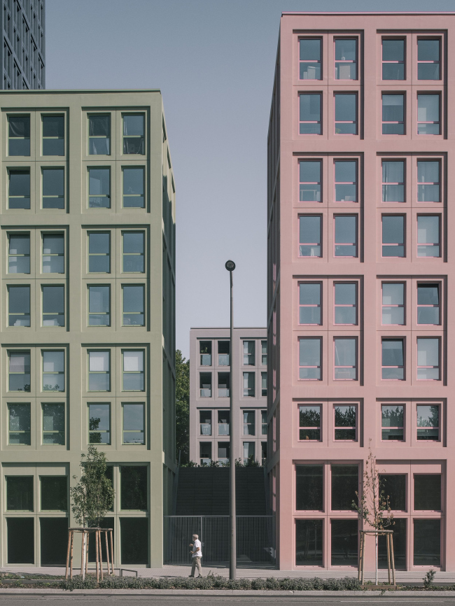 ����� ������� Nolistra � ����������