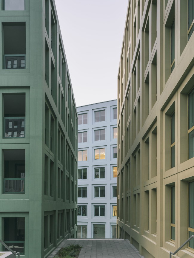 ����� ������� Nolistra � ����������