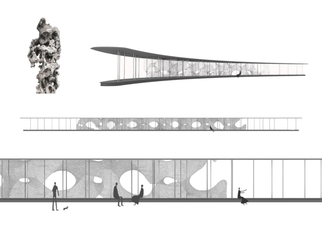 ���� ����� ����� ������