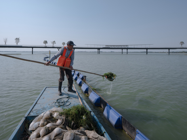 ���� ����� ����� ������