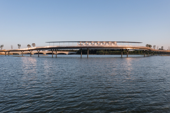 ���� ����� ����� ������