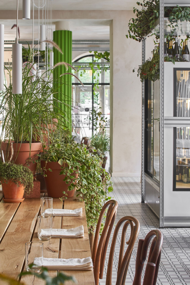 ������ ��������� Animals