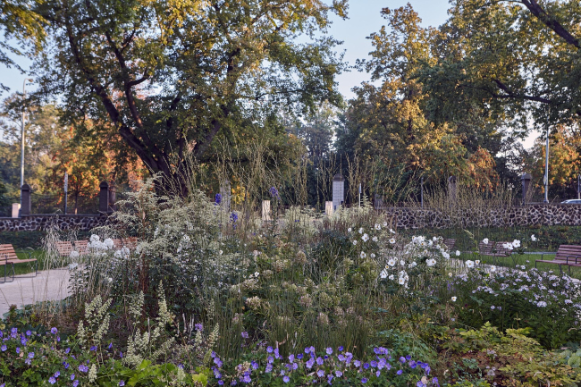 ��� ��������� ��������� � �������������