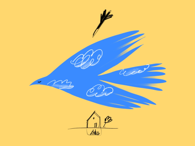 ���� ������ (�������). �������� ������