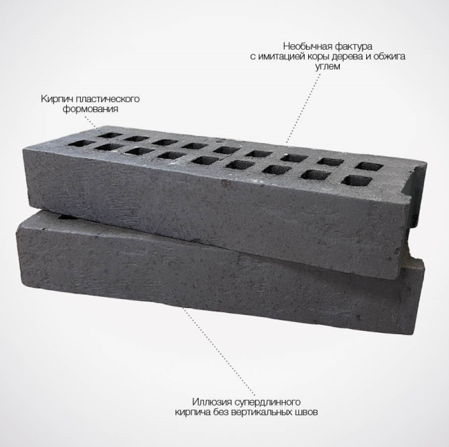 ��������� Vision