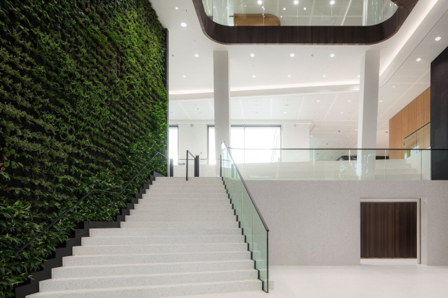 ���� ����������� ����� Loyens & Loeff