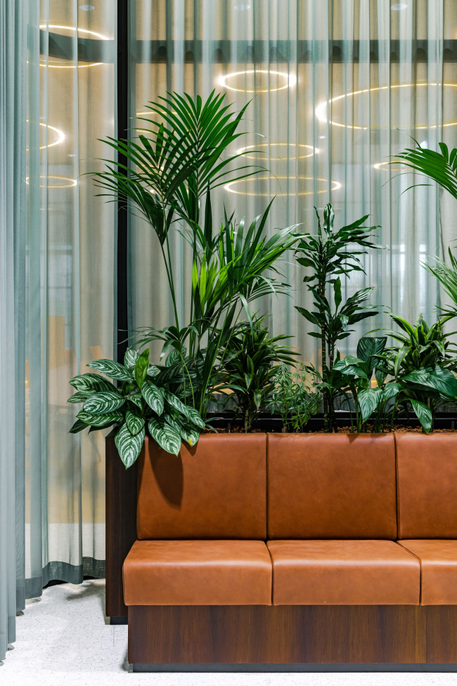 ���� ����������� ����� Loyens & Loeff