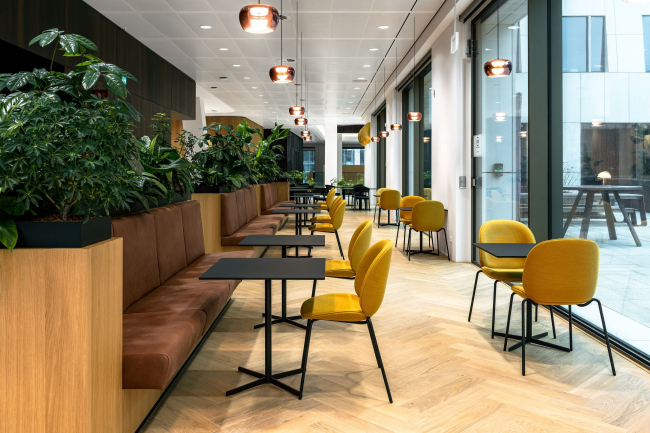 ���� ����������� ����� Loyens & Loeff