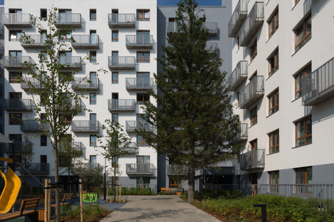 ��� � �������� �����������